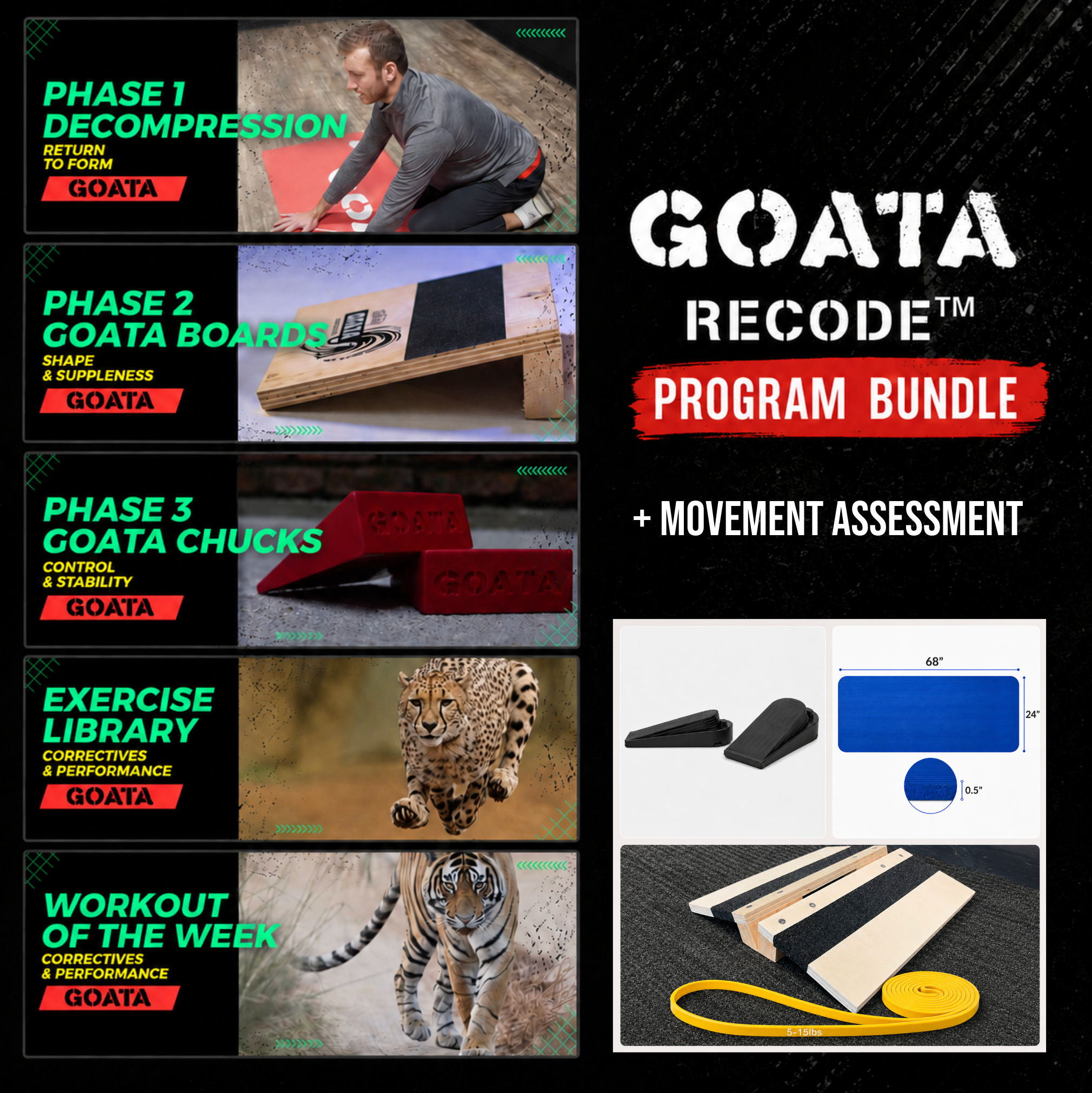 GOATA Recode Program