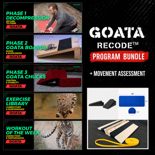 GOATA Recode Program